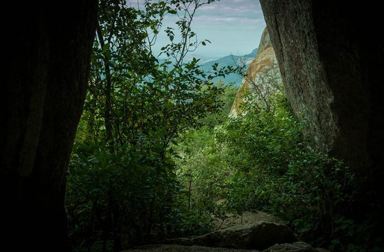 Trip to Hills of the elusive Bulbul - Image 2