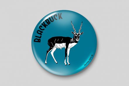 Black Buck