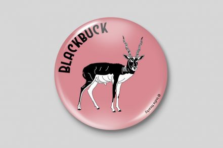 Black Buck