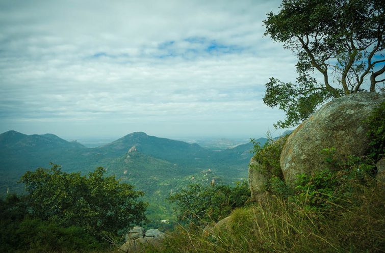Trip to Hills of the elusive Bulbul