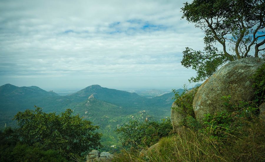 Hills of the elusive Bulbul