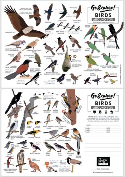Go Explore Birds Around You - Field Guide