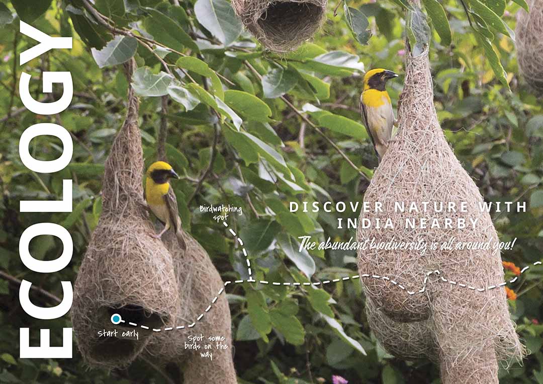 Go Explore Theme ECOLOGY 1