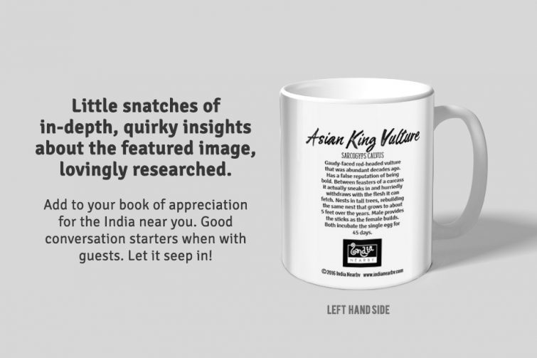 King Vulture D1 Single Mug - Image 2