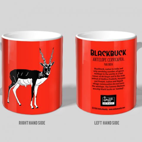 Blackbuck D1 Single Mug