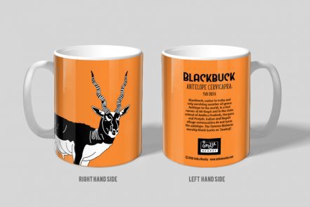 Black Buck