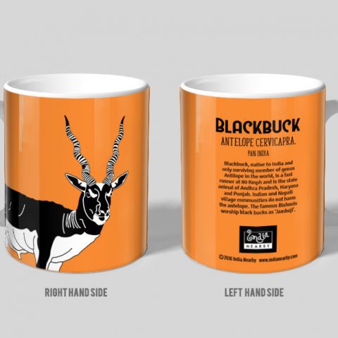 Blackbuck D2 Single Mug