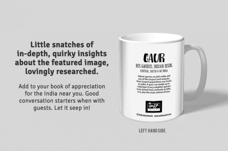 Gaur D1 Single Mug - Image 2