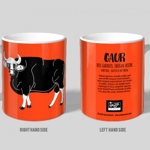 Gaur D2 Single Mug