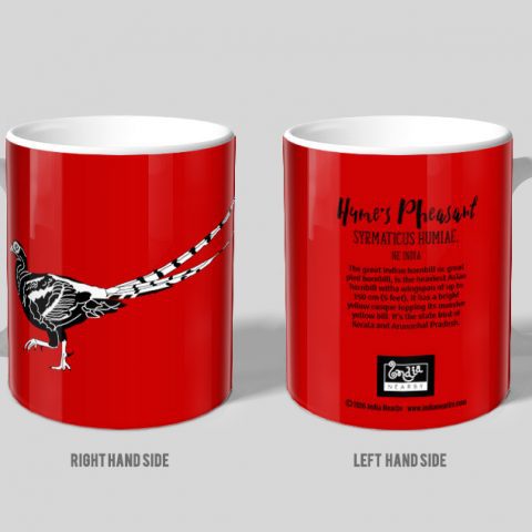 Hume's Pheasant D1 Single Mug