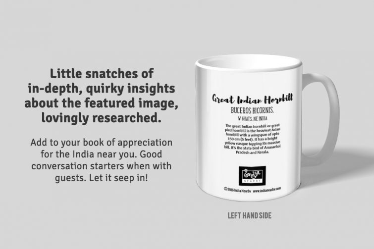 Indian Hornbill D2 Single Mug - Image 2