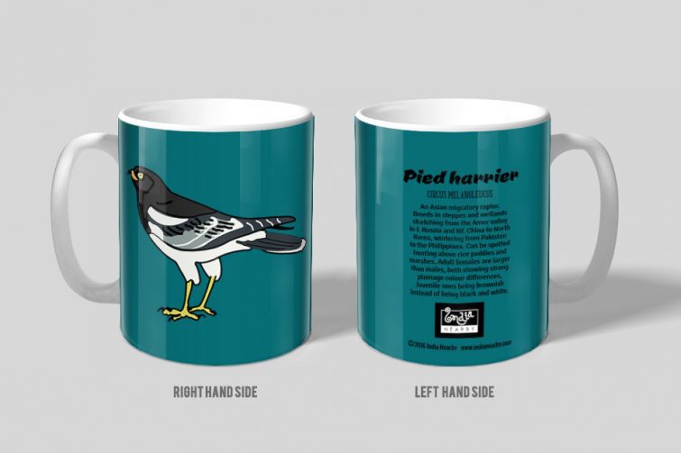 Pied Harrier D1 Single Mug