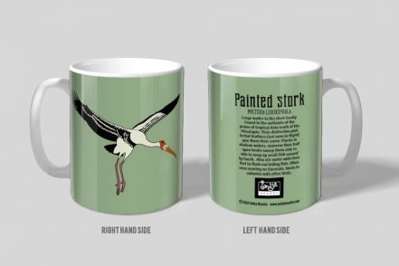 Paited Stork