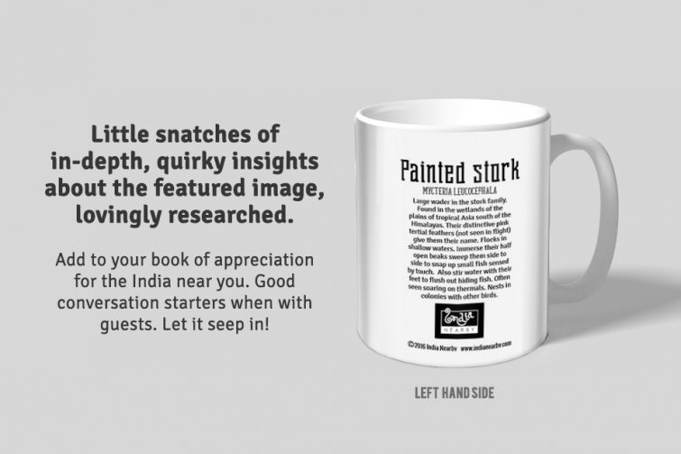 Painted Stork D1 Single Mug - Image 2