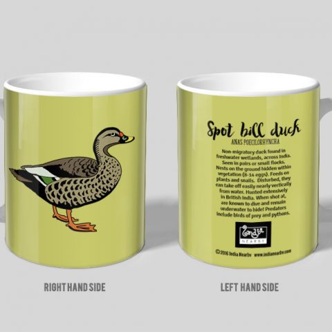 Spotbill Duck D1 Single Mug