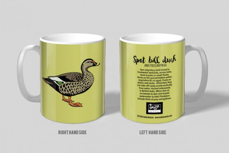 Spotbill Duck D1 Single Mug