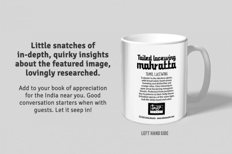 Lacewing D1 Single Mug - Image 2