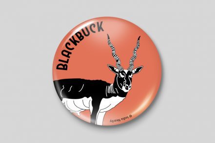 Black Buck