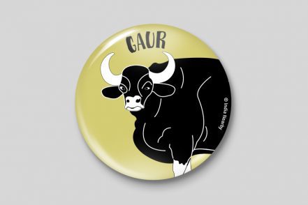 Gaur