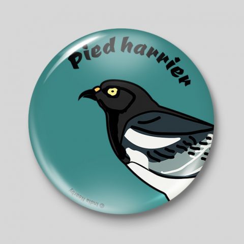 Pied Harrier D1 Badge