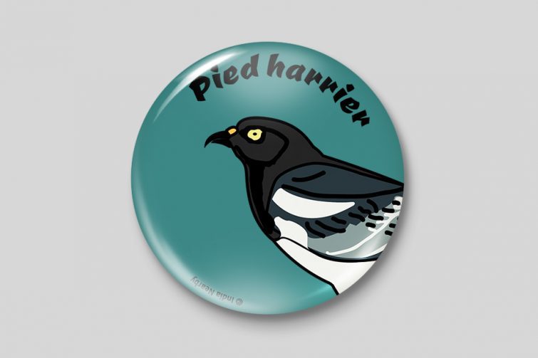 Pied Harrier D1 Badge